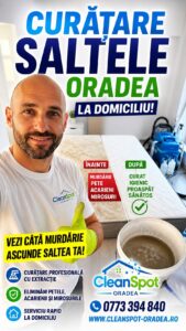 6a82aac387081